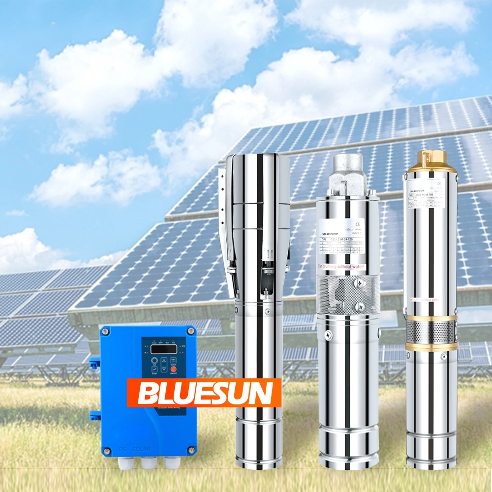 コントローラ付き費用対効果の高いケニア太陽電池ポンプ24V 48V 600W小DC太陽水ポンプシステム