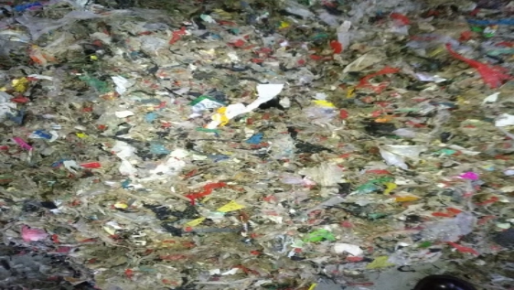 プラスチック廃棄物単段ガニュレーター