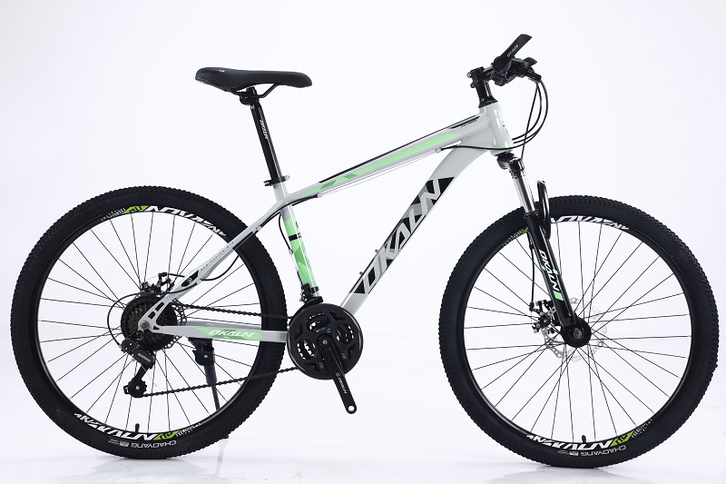 Aluminum Alloy Mountain Bike