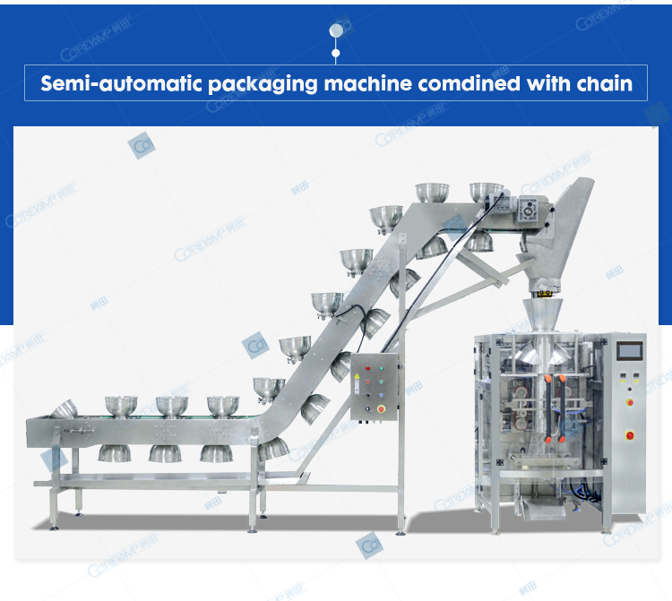 ZV-620B Chain bucket packing machine