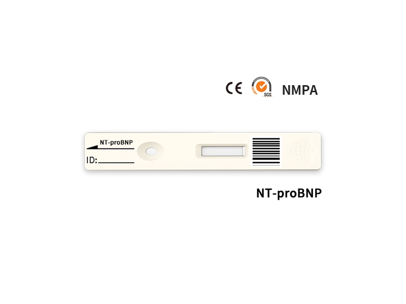 NT-proBNP迅速定量的テスト