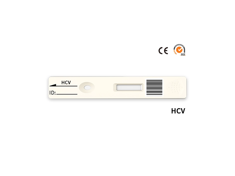 HCV迅速定量試験