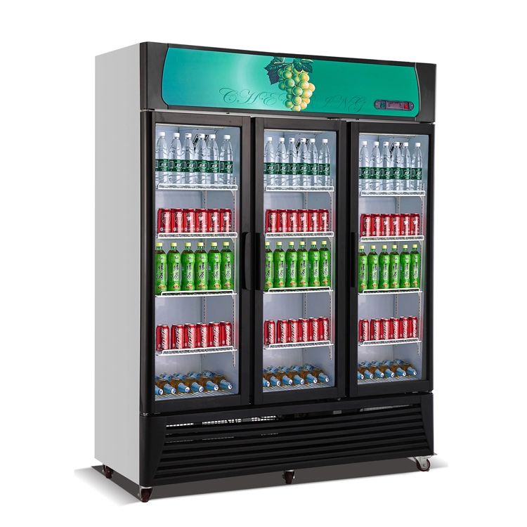 スーパーマーケットの冷蔵庫設備ディスプレイドリンク冷蔵庫ガラスドア冷凍庫＆冷蔵庫