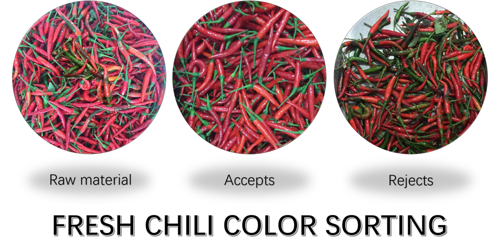 FRESH CHILI COLOR SORTING.png