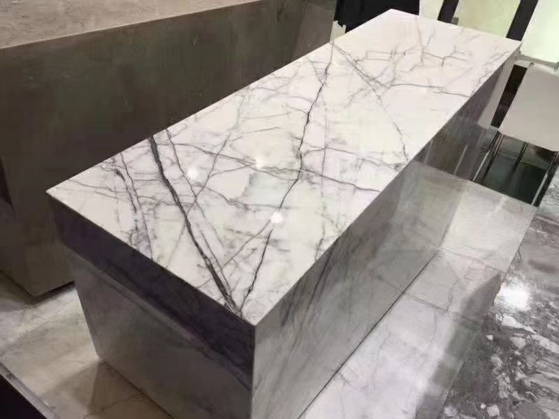 Black Swan Marble Table Tope