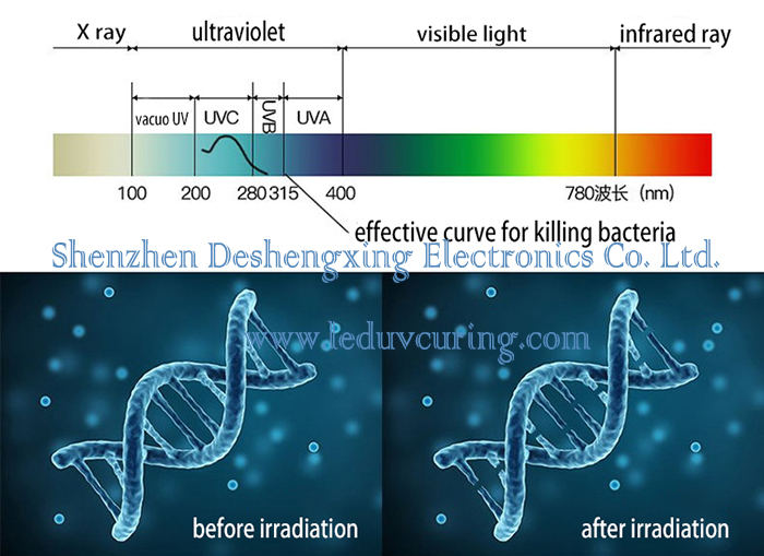 殺菌用ハンドヘルド UV LED 消毒装置ポータブル UVC LED ランプ殺菌細菌