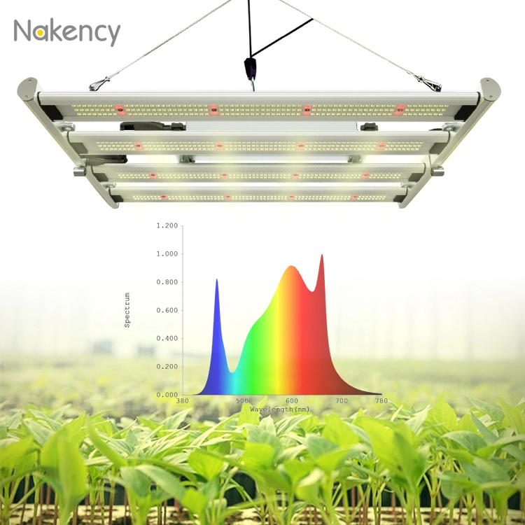 800w折りたたみ式フルスペクトルLEDは薬用植物用の植物成長ライト