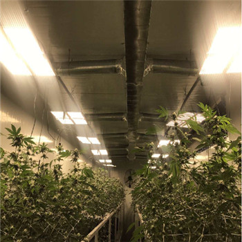 防水IP65屋内高効率LED植物育成ライト