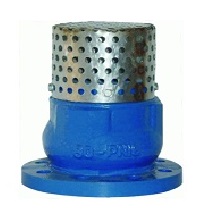 Cast iron foot valve flange end