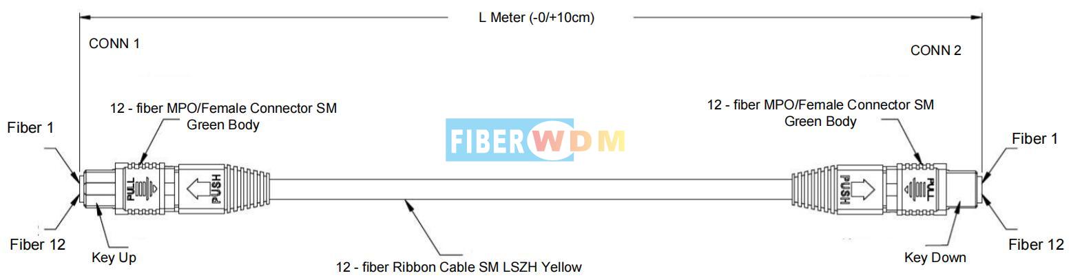 MPO fiber cable