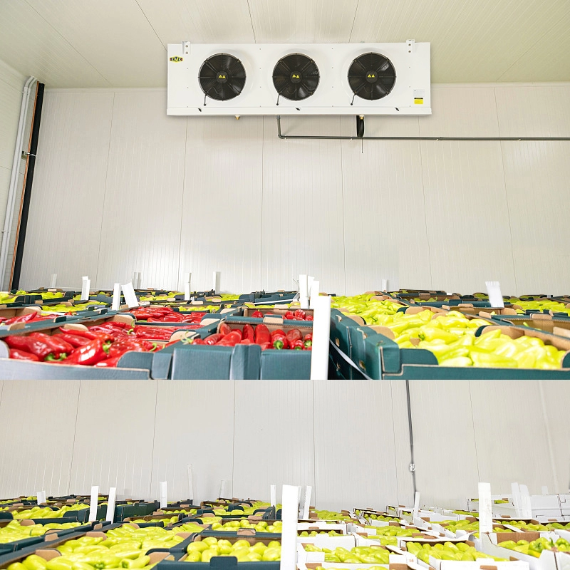 野菜果物冷蔵倉庫蒸発器ユニットクーラー 9.18KW