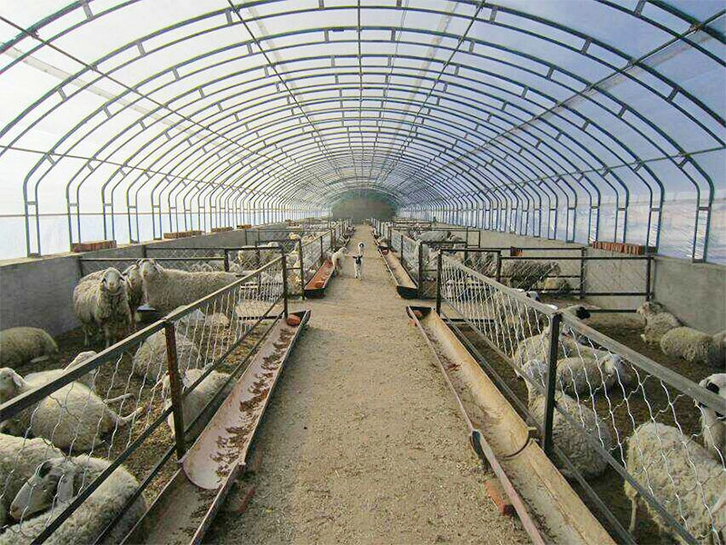 安価な軽量鋼家畜シェルター牛ヤギ飼育農業小屋